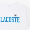 Bavlněné tričko z jersey – nadměrné velikosti – velké Bavlněné tričko z jersey – nadměrné velikosti – velké