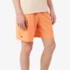 Pánské šortky Lacoste Tennis X Novak Djokovic
